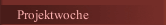 Projektwoche